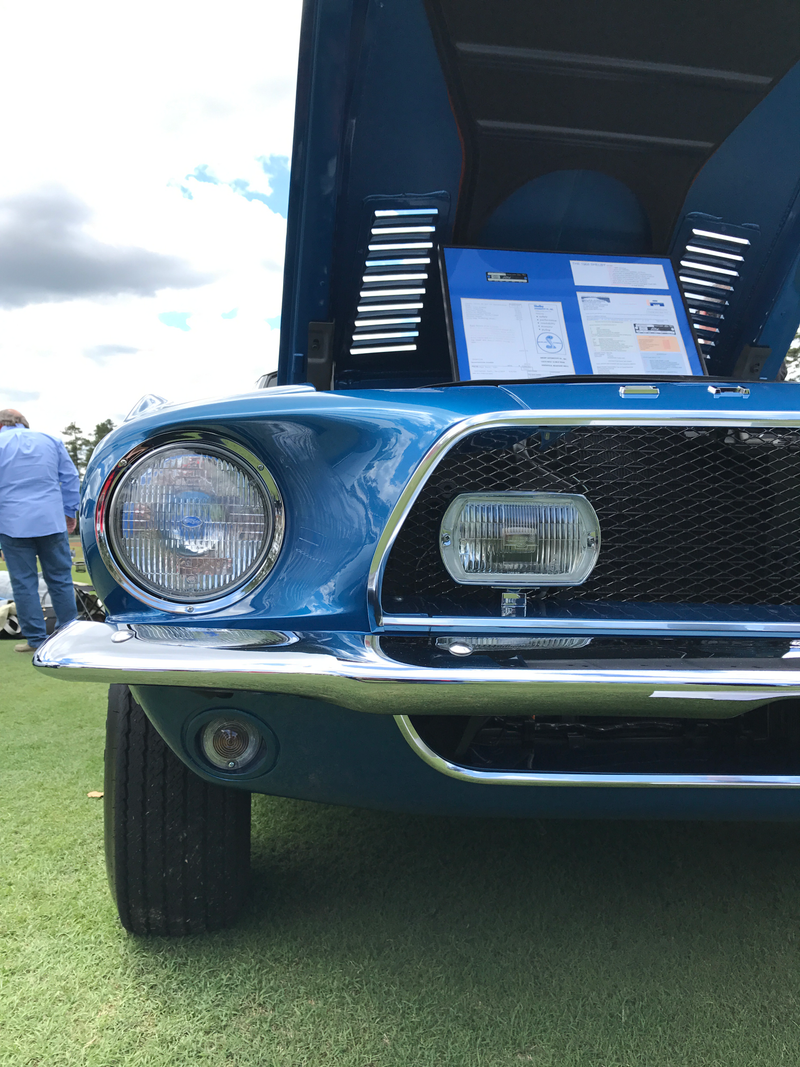 1968 Shelby GT500KR. This picture is now my phone wallpaper.